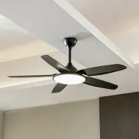 LUCANDE Divian LED-Deckenventilator, schwarz, DC, leise, CCT - , Divian, Schwarz, für Wohnzimmer, Metall, Modern