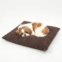 4L Textil MOLLY Hundekissen flauschig Cord Hundebett Grosse Hunde mit Bezug und Reißverschluss kuscheliges Hundekissen waschbar 60x50 cm, Braun