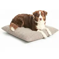 4L Textil MOLLY Hundekissen flauschig Cord Hundebett Grosse Hunde mit Bezug und Reißverschluss kuscheliges Hundekissen waschbar 120x100 cm, Beige