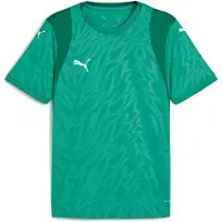 Puma Teamcup Trikot Kurzarm Herren - Grün