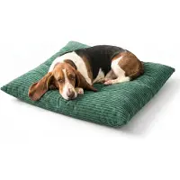 4L Textil MOLLY Hundekissen flauschig Cord Hundebett Grosse Hunde mit Bezug und Reißverschluss kuscheliges Hundekissen waschbar 60x50 cm, Grün