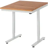 RAU Arbeitstisch 750x1000x720-1120 elektrisch B-Platte 25mm l.gr