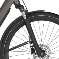 Cortina Bearing Co. Cortina E-Silento Pro Nexe25DS Fahrradgabel 28 Zoll mit Scheibenbremsaufnahme PM Schwarz