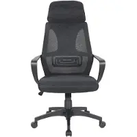 Trisens Bürostuhl mit Lordosenstütze im Netzstoff-Design Schreibtischstuhl mit Wippfunktion ergonomischer Drehstuhl mit einer verstellbaren atmungsaktiven Rückenlehne,Farbe:Schwarz
