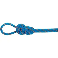 Mammut 8.0 Mm Alpine Dry 50 M Seil