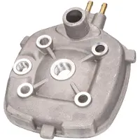 NARAKU Adly Air Tec 1 50 10-11/aprilia Area 51 50 98-02 Zylinderkopf