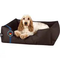 BedDog Hundebett ZARA,(S) ca. 55x40x17cm,CHOCOLATE (braun)