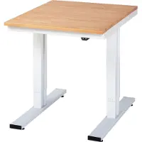 RAU Werktisch Serie adlatus 300, Buche-Massiv-Platte, B 750 x T 1000 x H 720 - 1120 mm