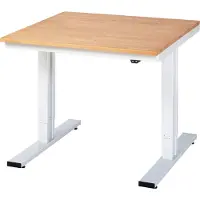 RAU Werktisch Serie adlatus 300, Buche-Massiv-Platte, B 1000 x T 800 x H 720 - 1120 mm