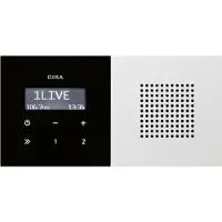 Gira 2280112 Unterputz-Radio RDS Flächenschalter