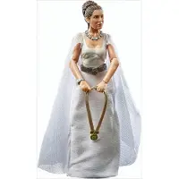Hasbro , Prinzessin Leia Organa Yavin 4 Artikuliert Star Wars The Black Series, Weiß