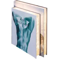 Casa Padrino Luxus Tischleuchte im Bücher Design Männer 31 x 7,5 x H. 26,5 cm - LED Tischlampe