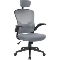 Trisens Bürostuhl Ergonomisch Drehstuhl Schreibtischstuhl Mesh Netzstoff office Stuhl,Farbe:Schwarz / Grau mit Kopfstütze