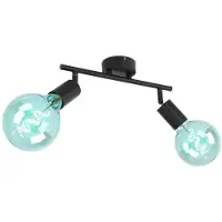 Globo Lighting RGB LED Deckenleuchte, 2-Flammig, schwarz, Spots verstellbar, L 30 cm