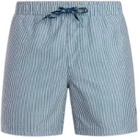 Protest Badeshorts Herren PRTMarama Empire Blue-XL