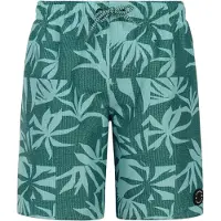 Protest William Badeshorts
