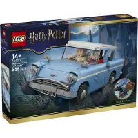 LEGO Harry Potter 76470 Fliegender Ford Anglia