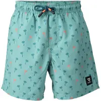 Brunotti Kinder Badeshorts Cestery-Mini Boys Swim Shorts