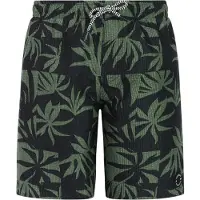 Protest William Badeshorts
