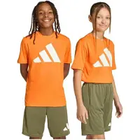 Adidas Kinder Shirt TRAIN ESSENTIALS BIG LOGO