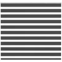 vidaXL Doppelrollo Schwarz 155x150 cm Stoffbreite 150,9 cm Polyester