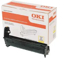OKI 43870021