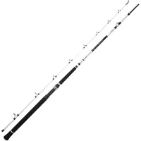 Spro Salty Beast Nano Mega Jig BC 240cm 450g - Meeresrute