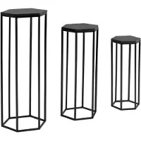 FineBuy Colter