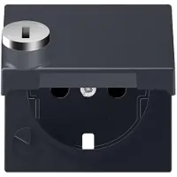 JUNG JG A1520KLSLPLANM Klappd.mit SCHUKO Topf und Schloss Serie A anthrazit