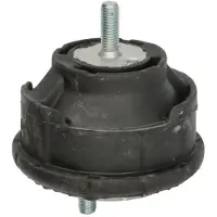 Delphi Motorträger TEM127