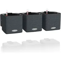 Lechuza 'Green Wall Home Kit Color', schiefergrau, ca. 48 x 15 x H 14 cm