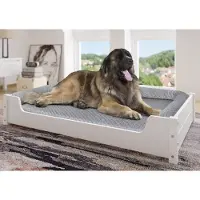 Polen Hundesofa XXL für Dogge, Bernhardiner und Co. Tierbett 120x70 Kiefer weiß V-30.32-W-120x70