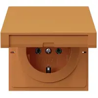 Gira SCHUKO-Steckdose or
