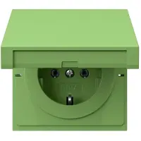 Gira SCHUKO-Steckdose gn