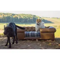 Casa Padrino Luxus Chesterfield Leder Hundebett Vintage Braun / Dunkelbraun / Mehrfarbig 134 x 104 x H. 37 cm - Rechteckiges Echtleder Hundebett - Luxus Chesterfield Leder Tiermöbel