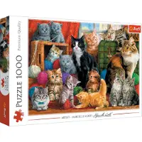 Trefl Puzzles - "1000" - Katzentreffen