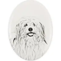 Art-Dog Coton de Tulear, Baumwollhund - Gedenktafel mit einem Foto eines Hundes, Grabplatte mit Druck, personalisierte ovale Platte der Marke