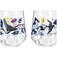 Ritzenhoff Gin-&-Tonic-Glas Botanic Glamour #3 #4 710 ml (2er Set)