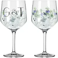 Ritzenhoff Gin-&-Tonic-Glas Botanic Lights #5 #6 720 ml (2er Set)