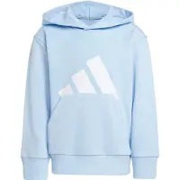 Adidas Essentials Big Logo Kapuzenpullover