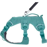 Ruffwear Web Master Harness - M - River Rock Green