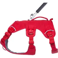 Ruffwear Hundegeschirr Web Master Harness Red Canyon, Größe: S