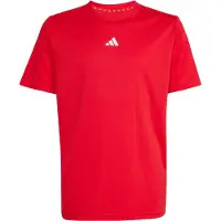 Adidas Kinder Shirt Train Essentials Logo Regular Fit