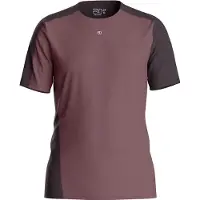 Ortovox - Leichtes T-Shirt für Wanderungen aus technischer Merinowolle – Herren – 120 Cool Tec Fast Upward T-shirt M Chestnut - 120 Cool
