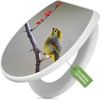 Banjado Toilettendeckel weiß mit Absenkautomatik und Motiv Herbst Vogel [TDW 12978]