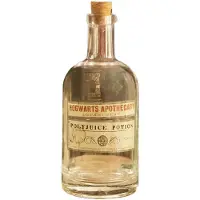 Harry Potter - Bottle and glasses Set - Potion
