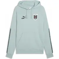 Puma ÖFB KING Hoodie