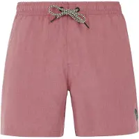 Protest Davey Badeshorts