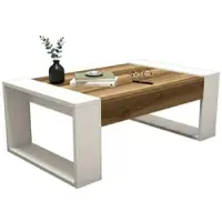 Dmora Wohnzimmertisch Dmilanes, Niedriger Wohnzimmertisch, Kaffeeregal, Couchtisch für Sofa, 102x60h38 cm, Walnuss und Weiß