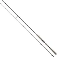 Daiwa Saltist Ags Iii Spinnrute Schwarz 2.13 m / 14-42 g Schwarz 2.13 m